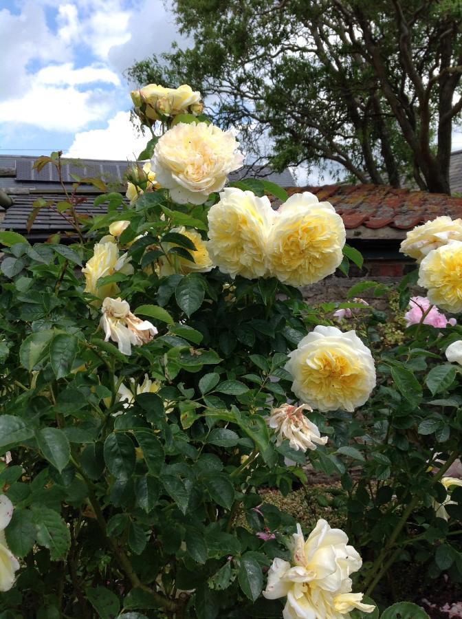 Orchard Cottage, Clematis Cottages, Stamford. Accessible Luxury Home. Exteriér fotografie