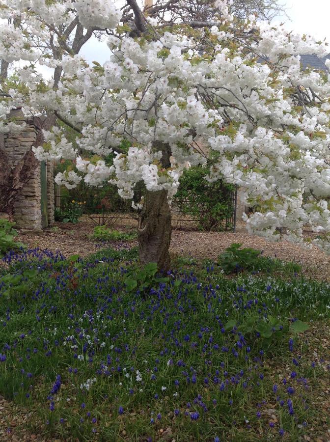Orchard Cottage, Clematis Cottages, Stamford. Accessible Luxury Home. Exteriér fotografie
